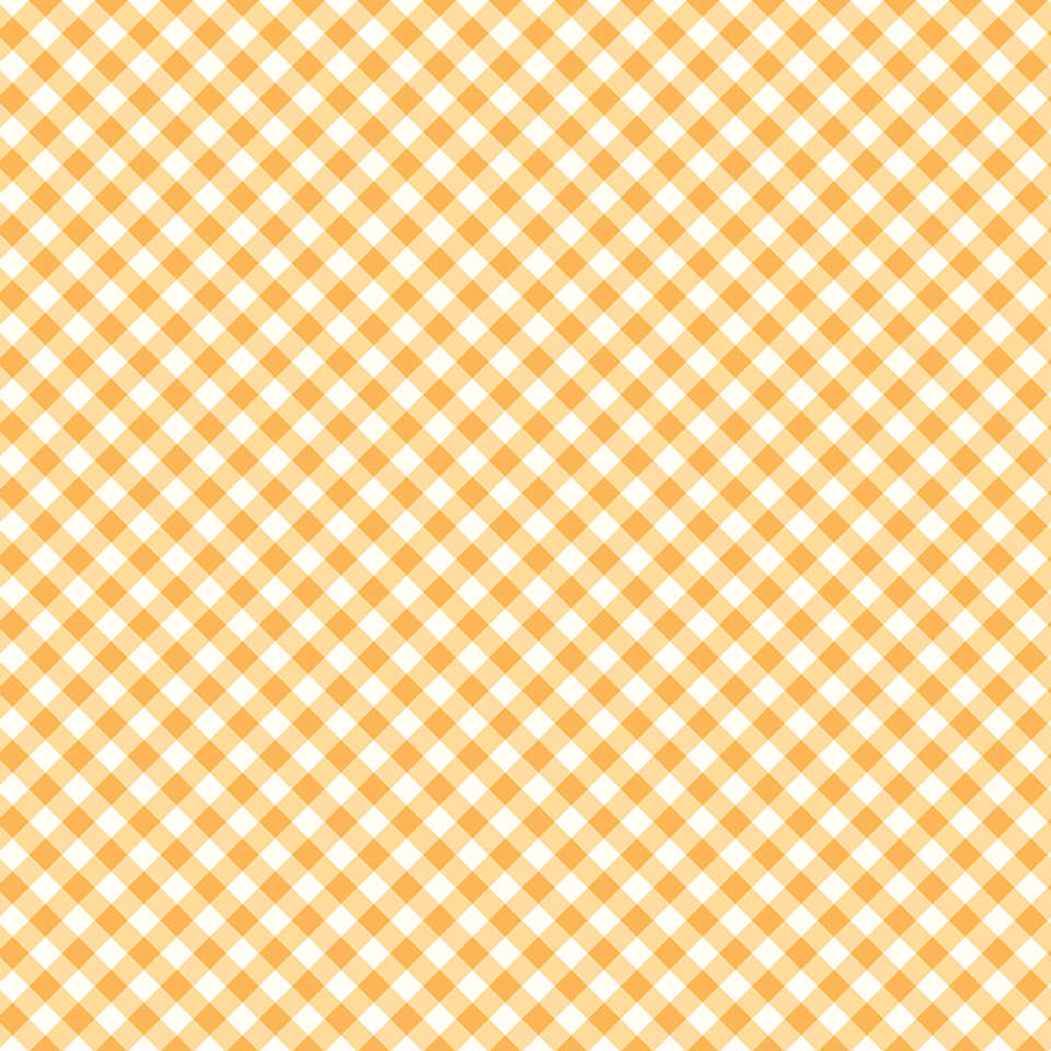 Riley Blake Designs - Bee Ginghams - C12554-DAISY