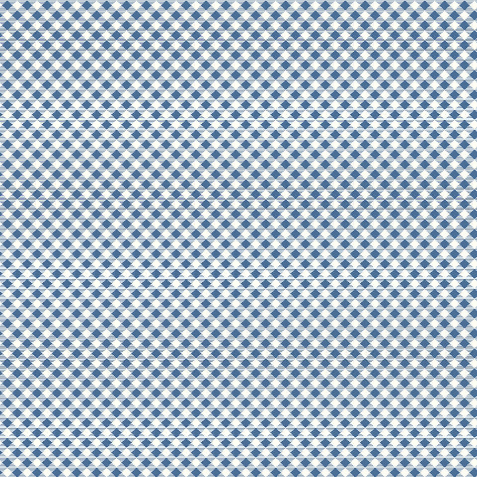 Riley Blake Designs - Bee Ginghams - C12551-DENIM