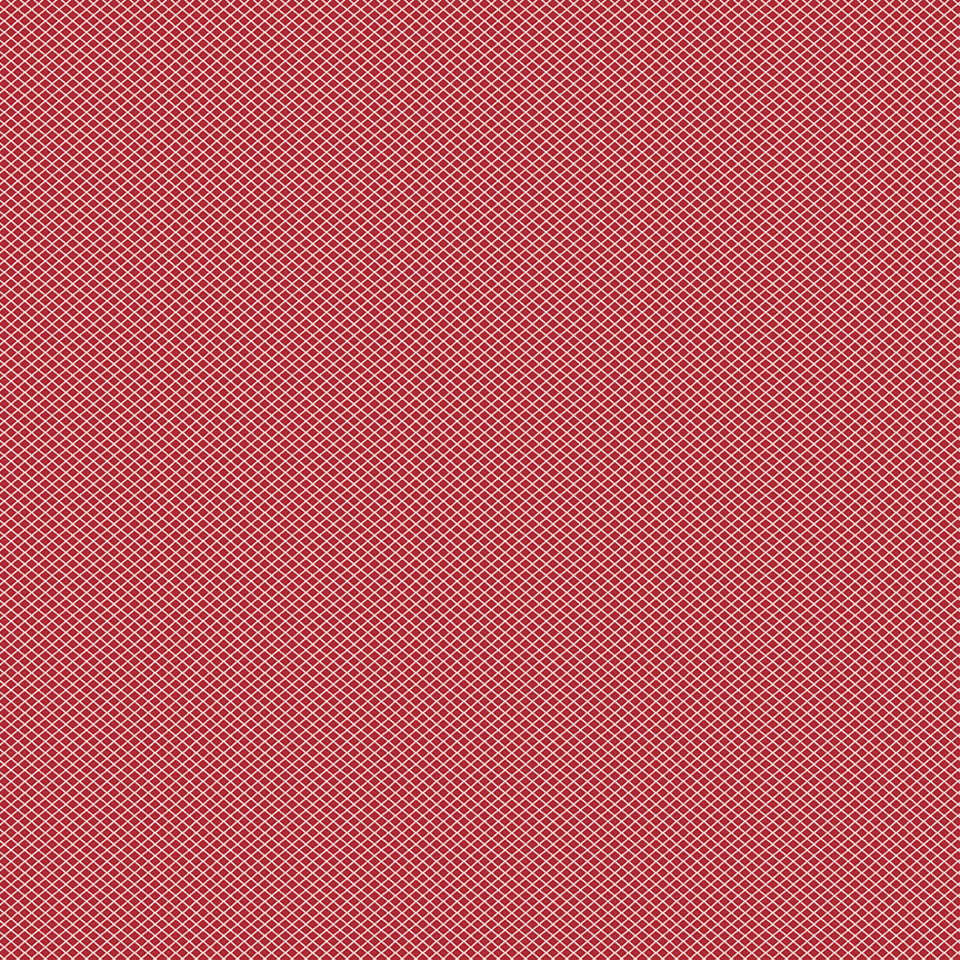 Riley Blake Designs - Bee Plaids - C12026-RED