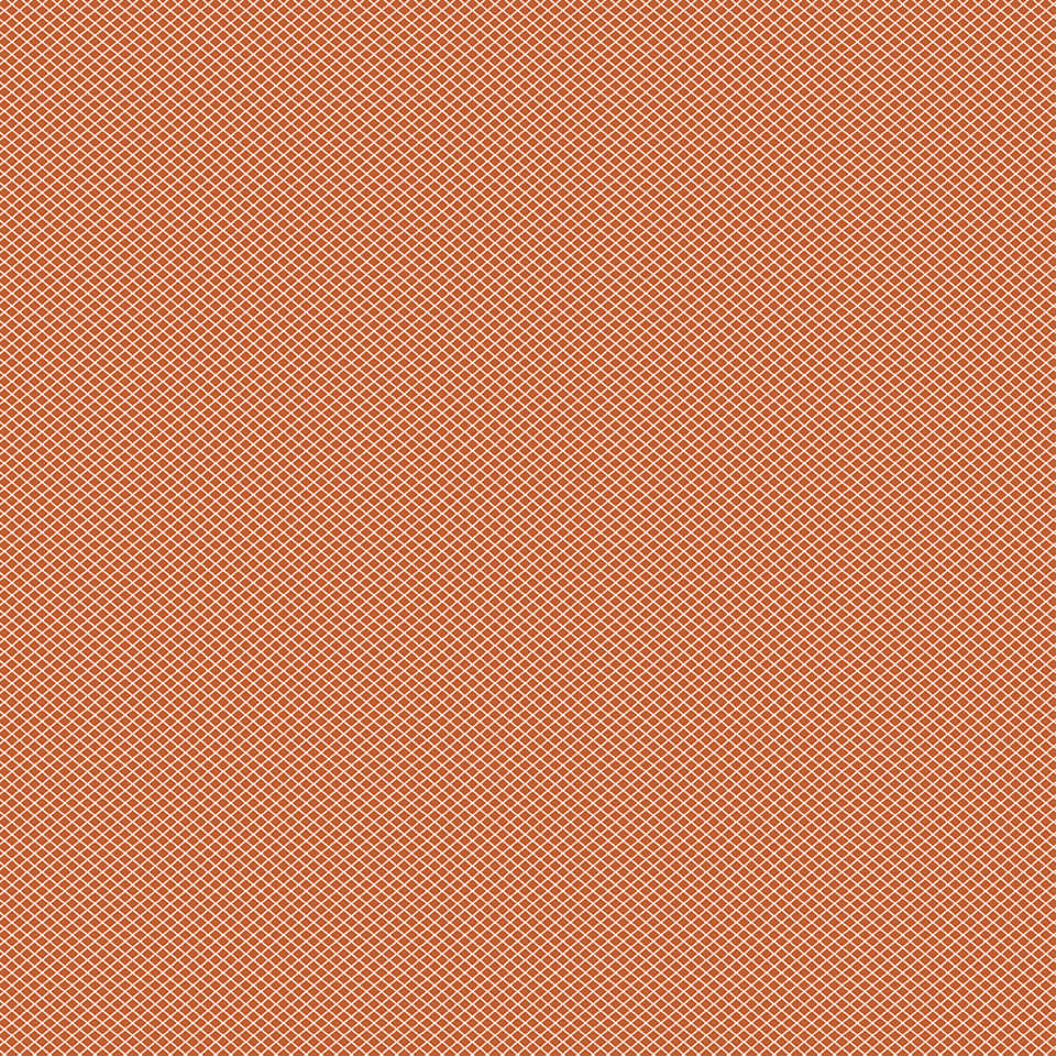 Riley Blake Designs - Bee Plaids - C12026-AUTUMN