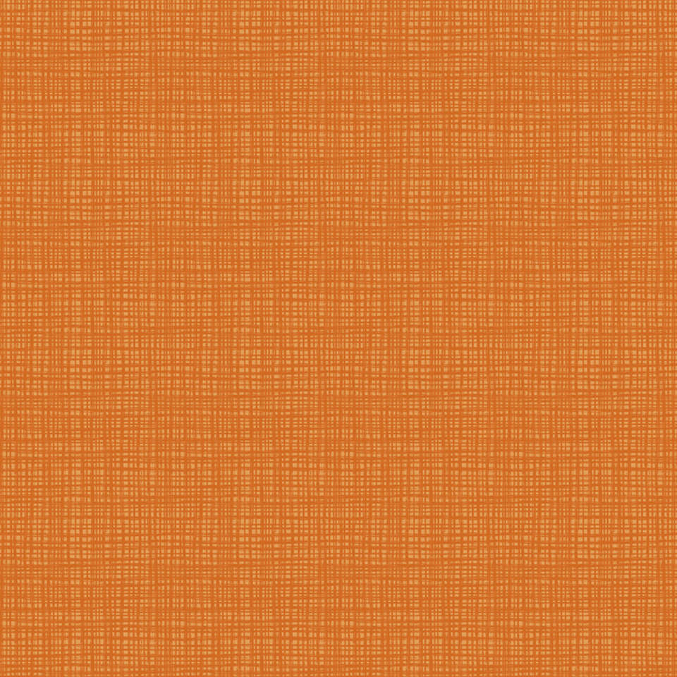 Riley Blake Designs - Texture - C610-CARROTS