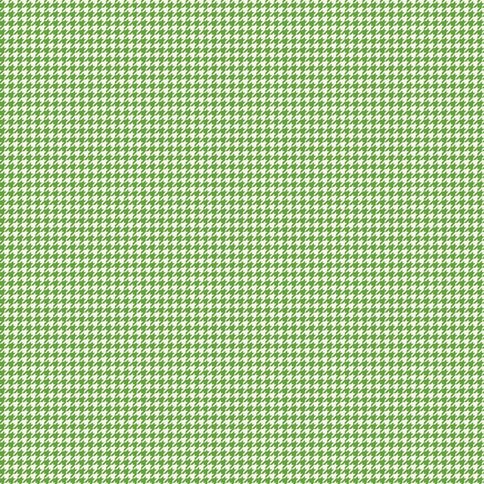 Riley Blake Designs - Oh Happy Day - C10315-GREEN