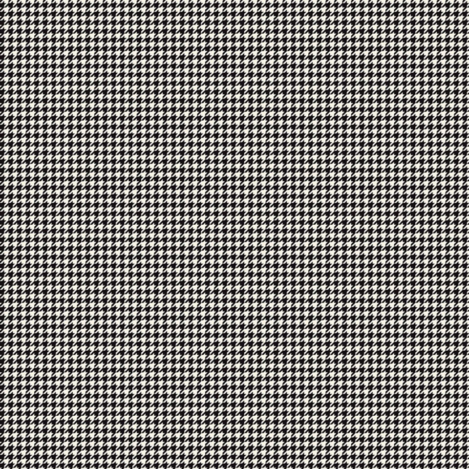 Riley Blake Designs - Oh Happy Day - C10315-BLACK