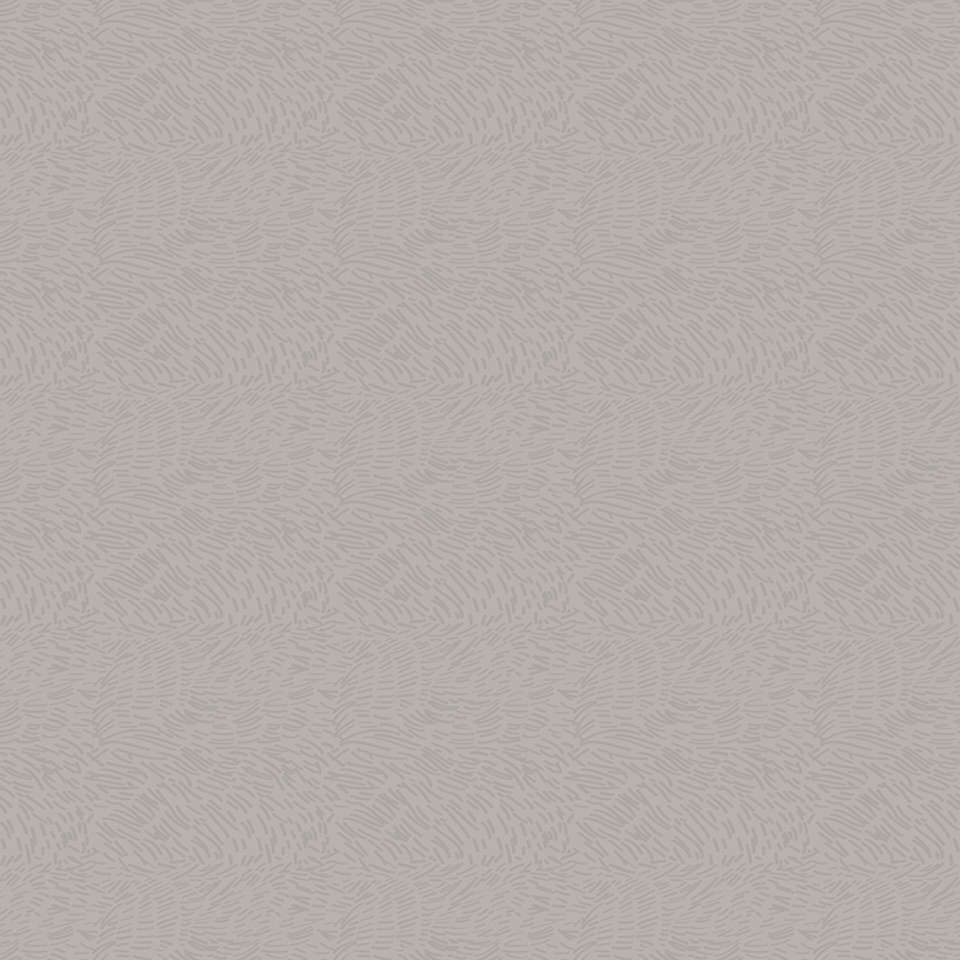 Riley Blake Designs - Timberland - C10335-LTGRAY