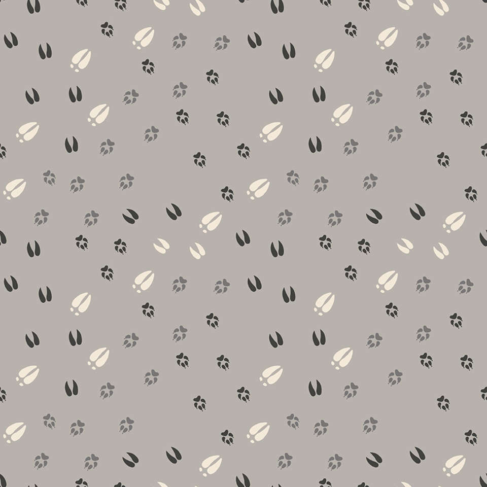 Riley Blake Designs - Timberland - C10332-LTGRAY