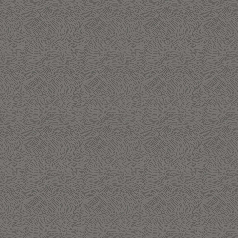 Riley Blake Designs - Timberland - C10335-GRAY