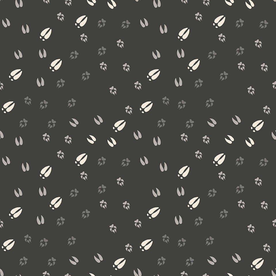 Riley Blake Designs - Timberland - C10332-CHARCOAL