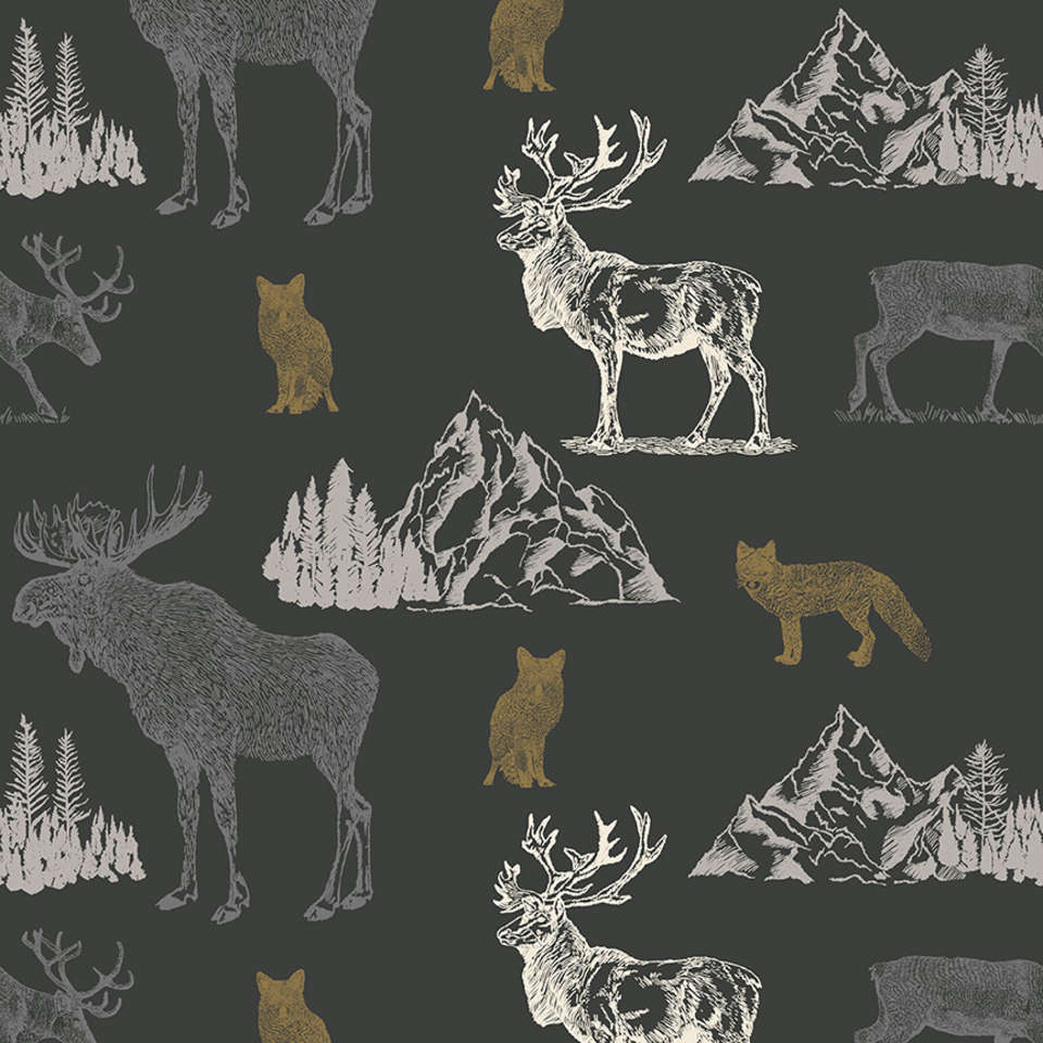 Riley Blake Designs - Timberland - C10330-CHARCOAL