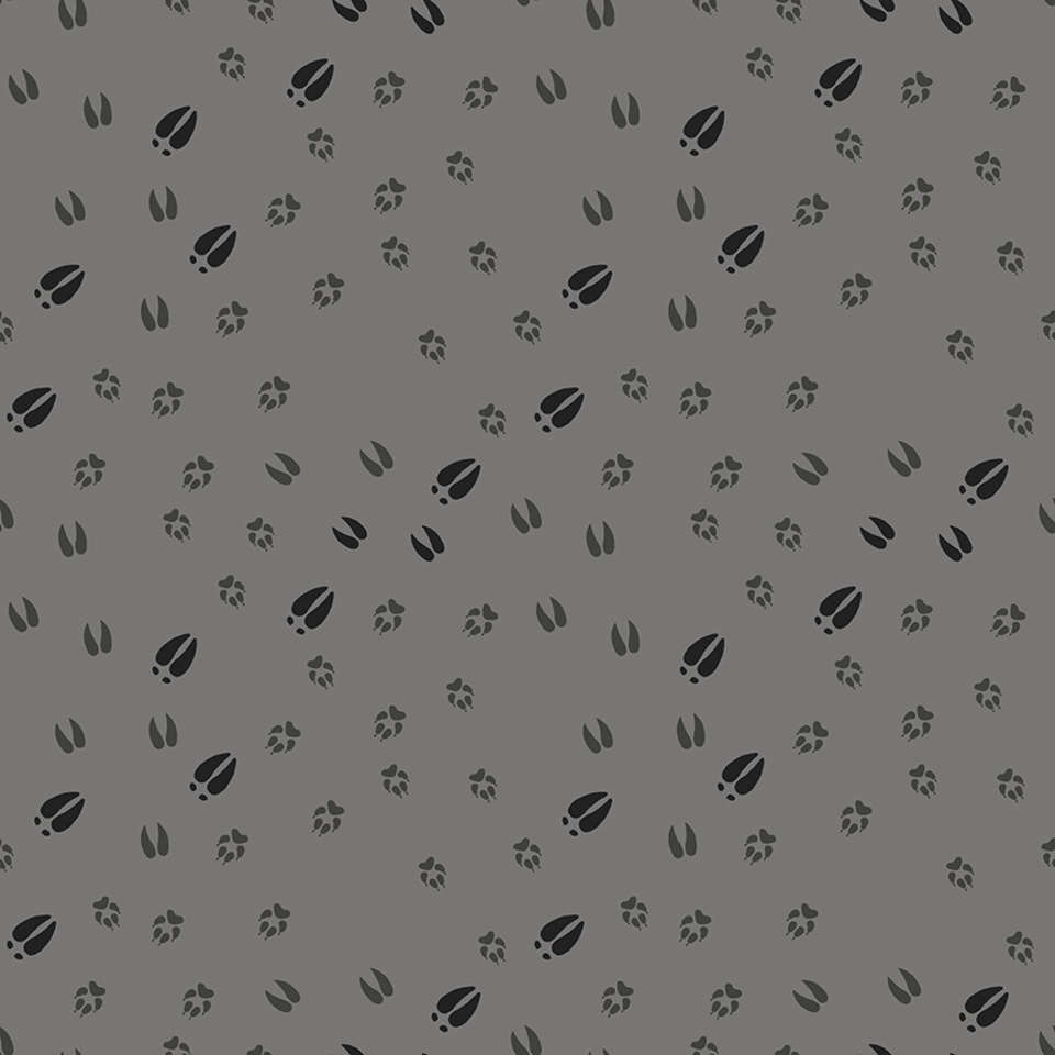 Riley Blake Designs - Timberland - C10332-GRAY