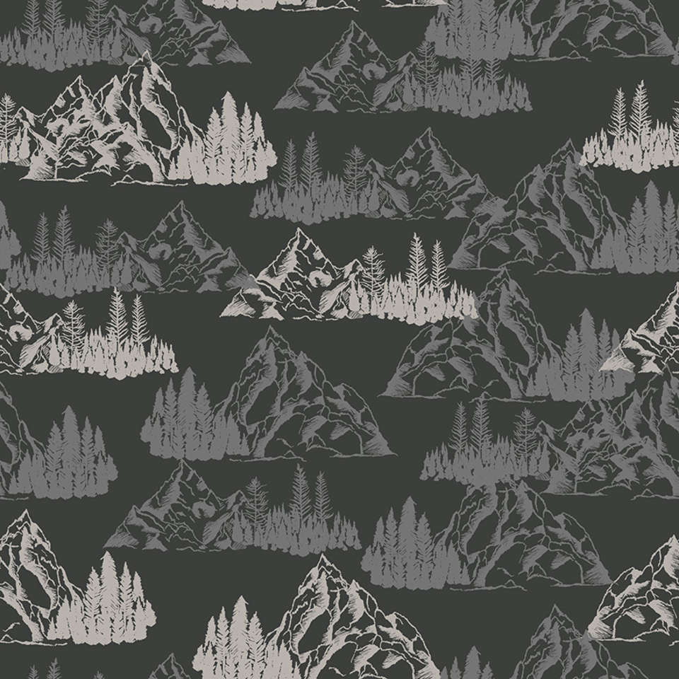 Riley Blake Designs - Timberland - C10331-CHARCOAL