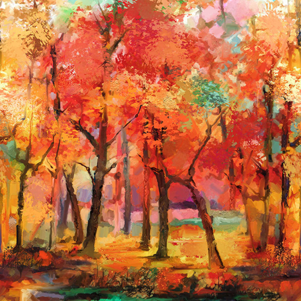 Northcott - September Morning - DP23857-24