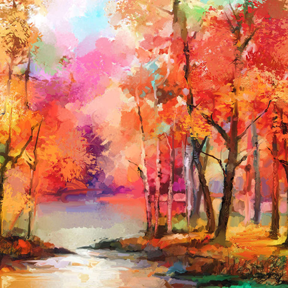 Northcott - September Morning - DP23815-24