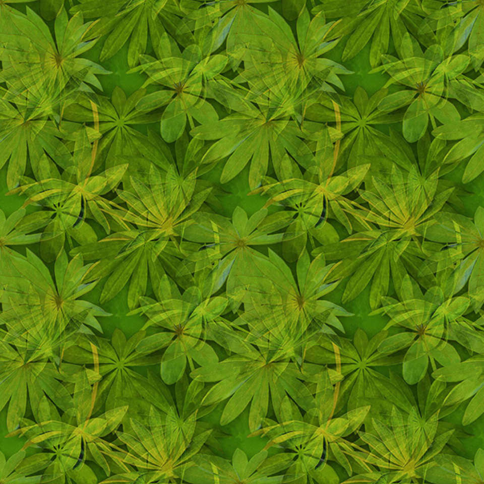 Northcott - Passion - 24497-76