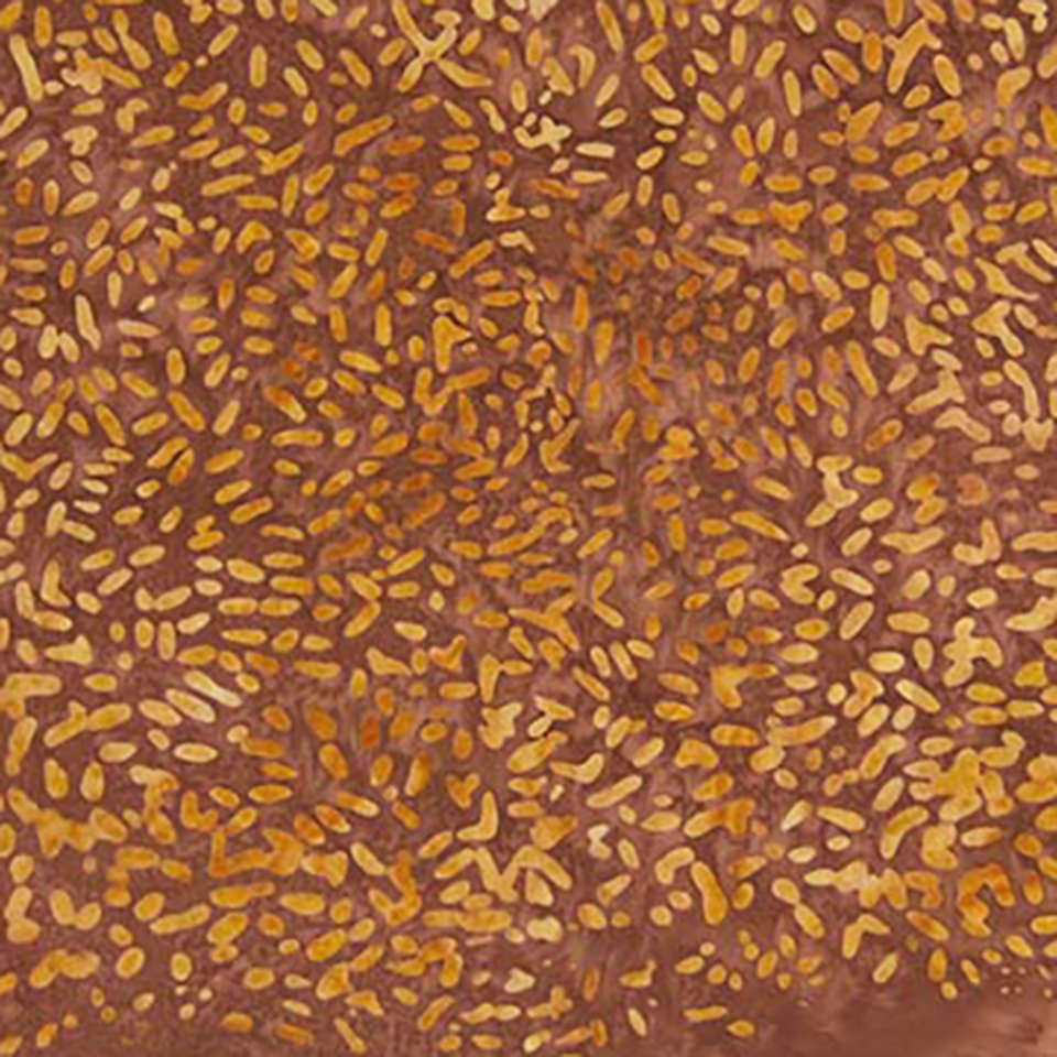Banyan Batiks - Canoe Lake - 81000-377