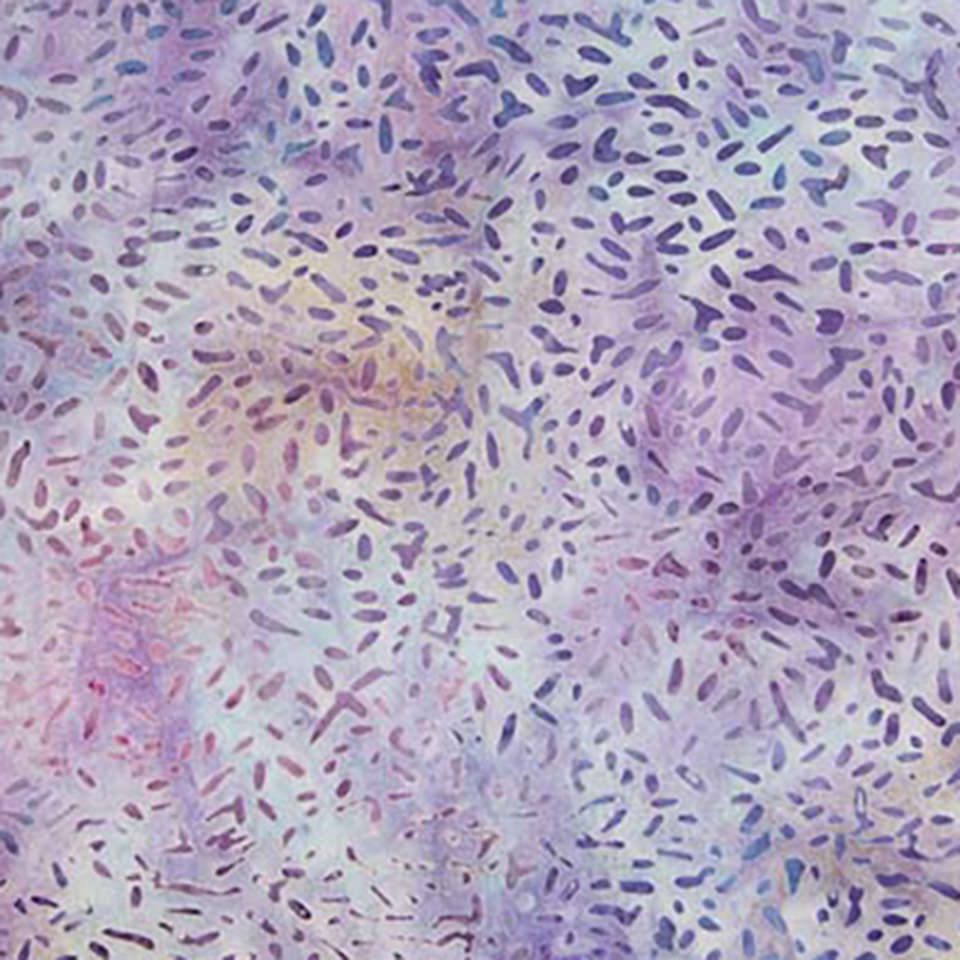 Banyan Batiks - Music Notes - 81000-810