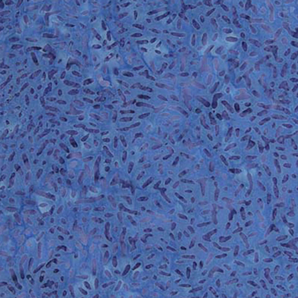 Banyan Batiks - Music Notes - 81000-465