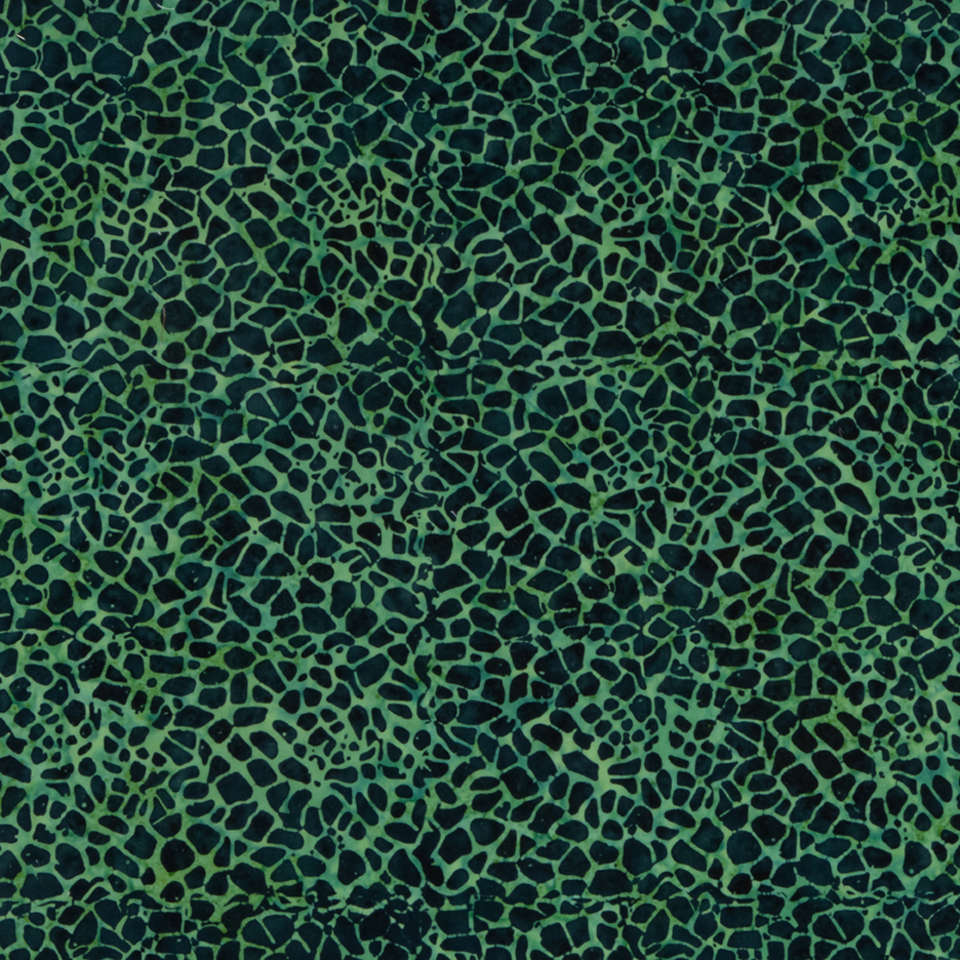 Riley Blake Designs - Expressions Elements - BTHH512-Aligator