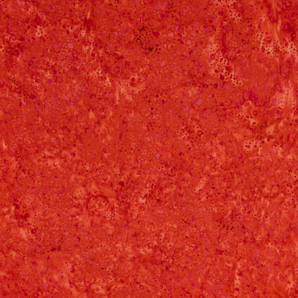 Riley Blake Designs - Expressions Elements - BTHH503-Paprika