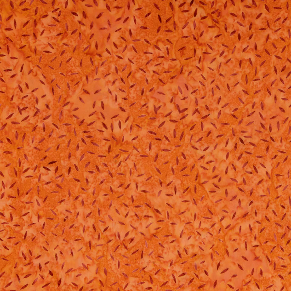 Riley Blake Designs - Expressions Elements - BTHH523-Carrot