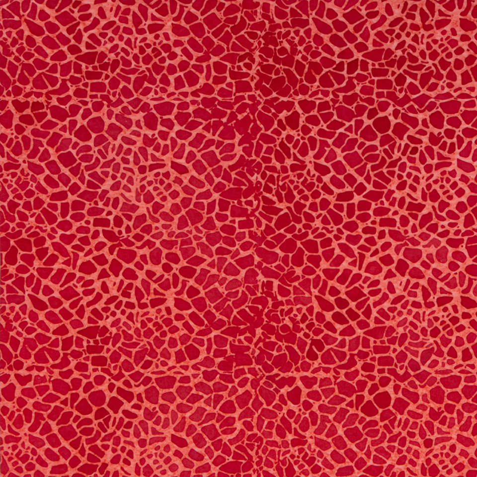 Riley Blake Designs - Expressions Elements - BTHH519-Lobster