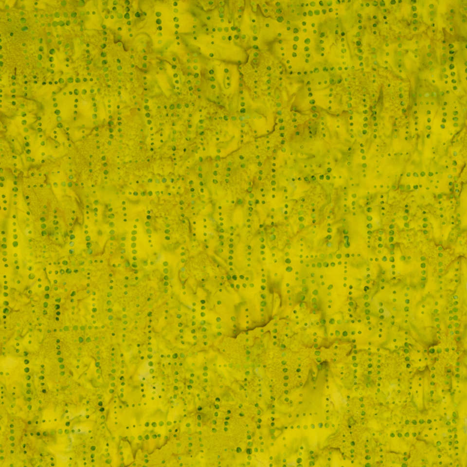 Riley Blake Designs - Expressions Elements - BTHH515-Kiwi