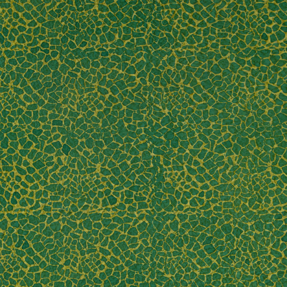 Riley Blake Designs - Expressions Elements - BTHH522-Grass