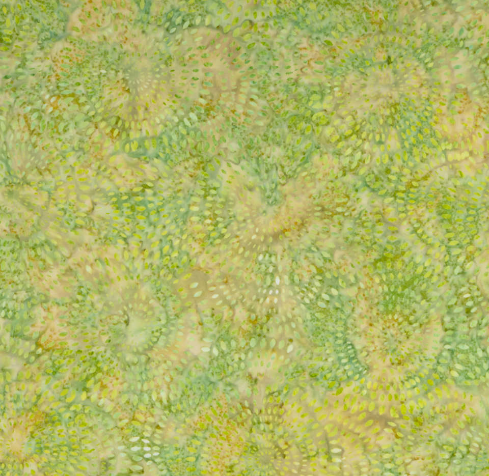 Riley Blake Designs - Expressions Elements II - BTHH1069-KeyLime