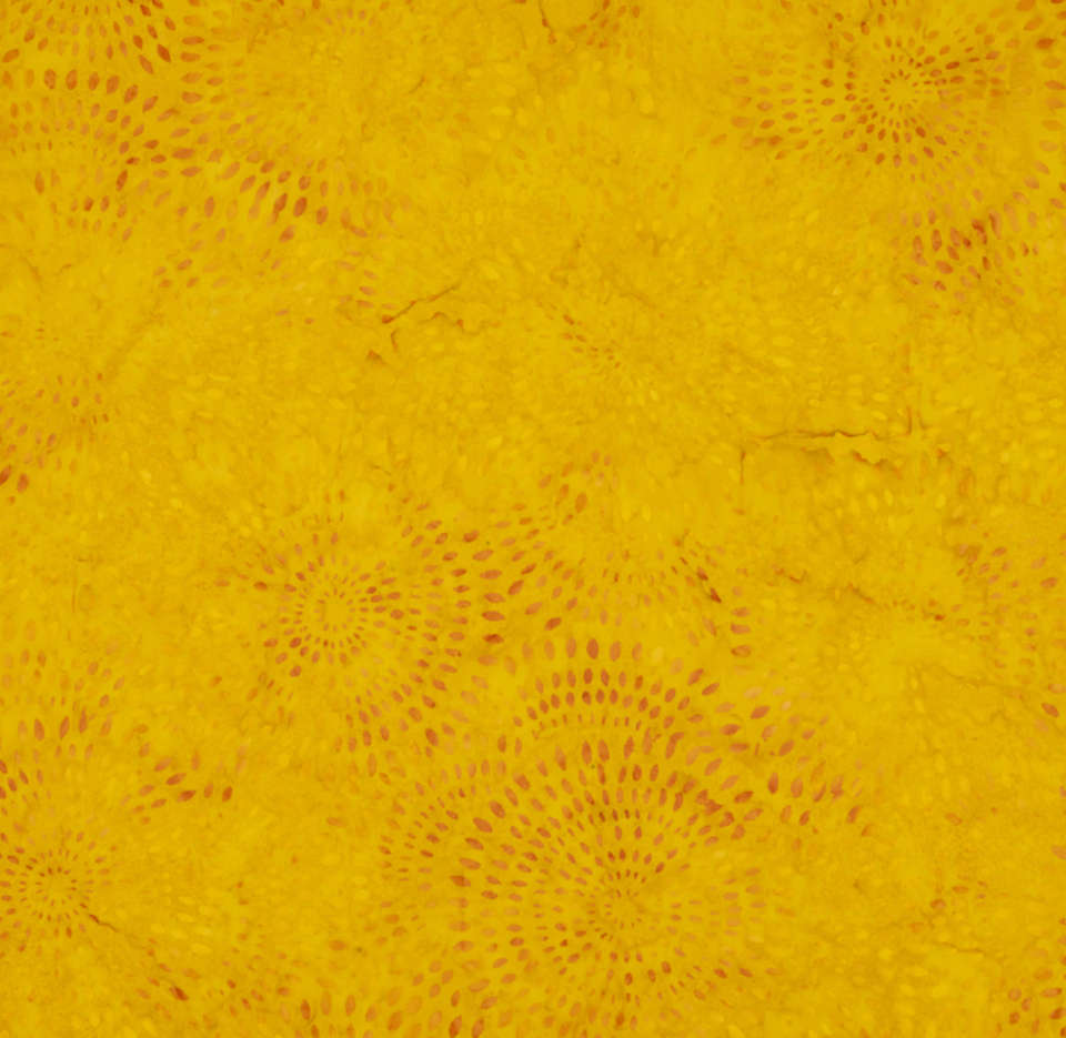 Riley Blake Designs - Expressions Elements II - BTHH1075-OrangeJuice