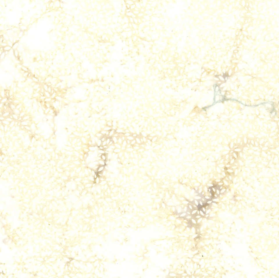 Hoffman California Fabrics - Forest Breeze - U2488-531-Papyrus