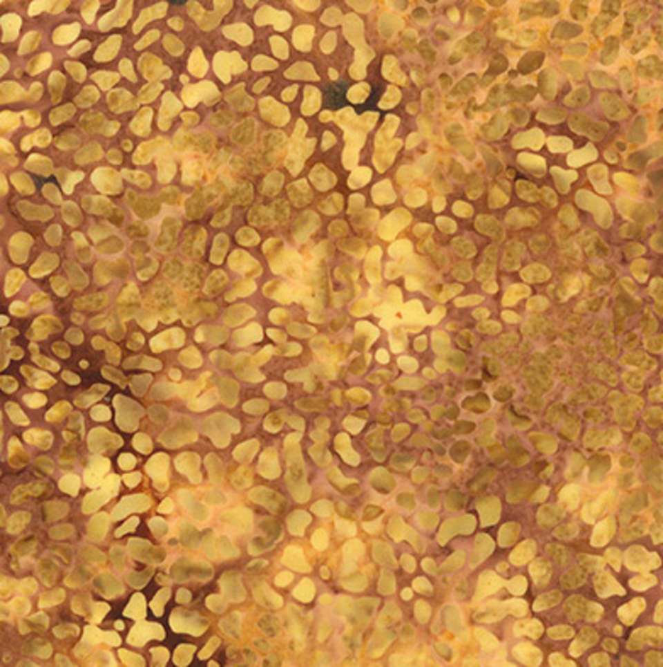 Hoffman California Fabrics - Congo Bay - Warm - MR31-250-Sahara