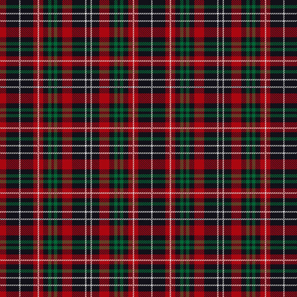 Timeless Treasures - Lumberjack Gnomes - GAIL-CD2082 MULTI