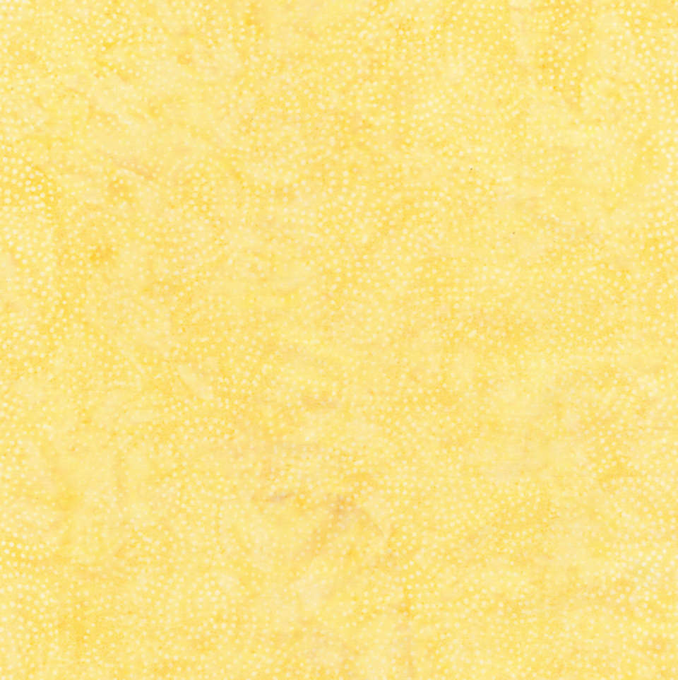 Timeless Treasures - Tonga Flutter - Tonga-B9534 MELON