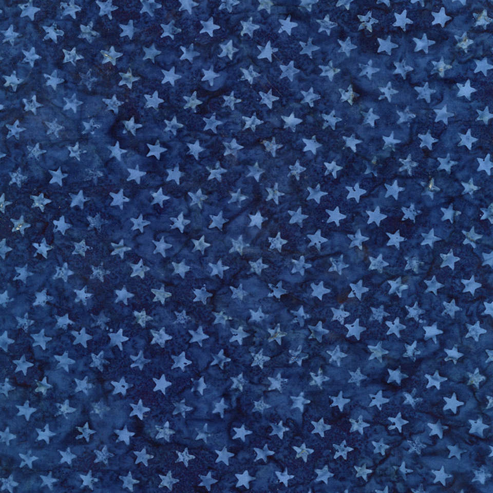 Timeless Treasures - Tonga Valor - Tonga-B1989 BRAVE