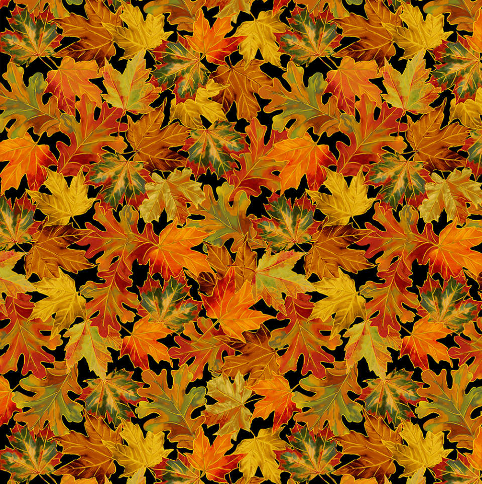 Timeless Treasures - Thankful - Harvest-CM1289 Black