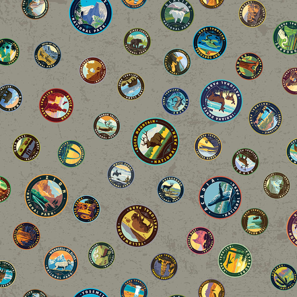 Riley Blake Designs - National Parks 2022 R4 - CD13292-GRAY