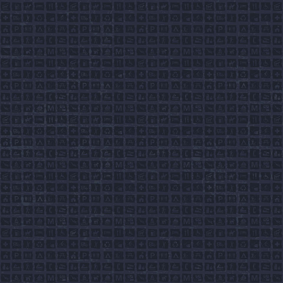 Riley Blake Designs - National Parks 2022 R4 - C13294-NAVY