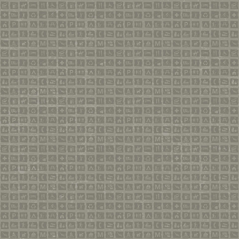 Riley Blake Designs - National Parks 2022 R4 - C13294-GRAY