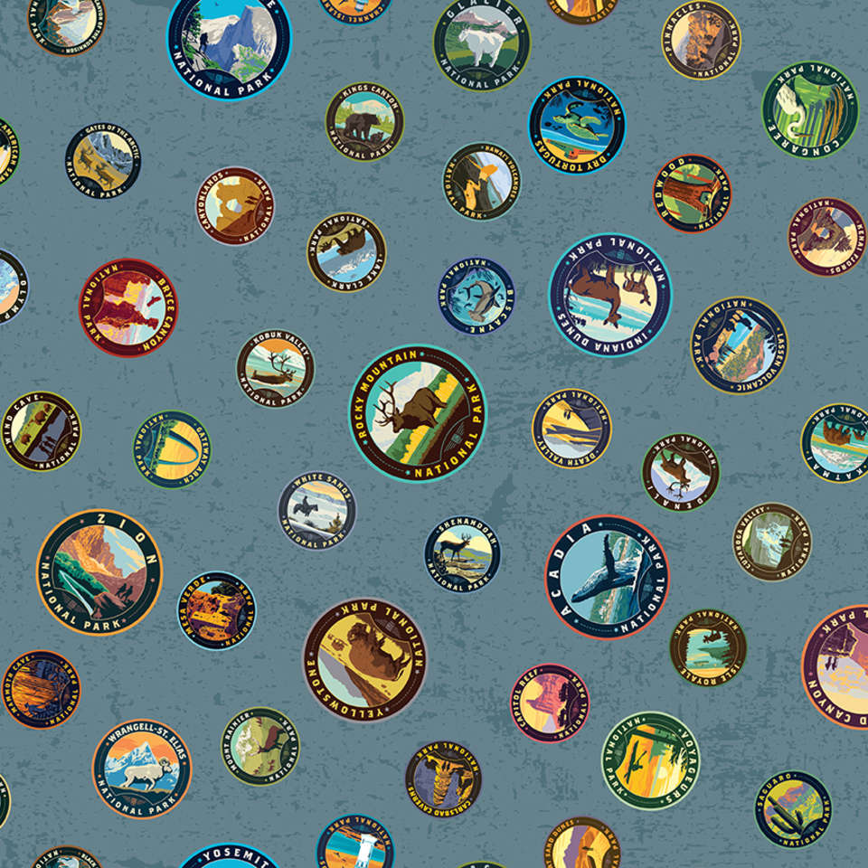 Riley Blake Designs - National Parks 2022 R4 - CD13292-BLUE