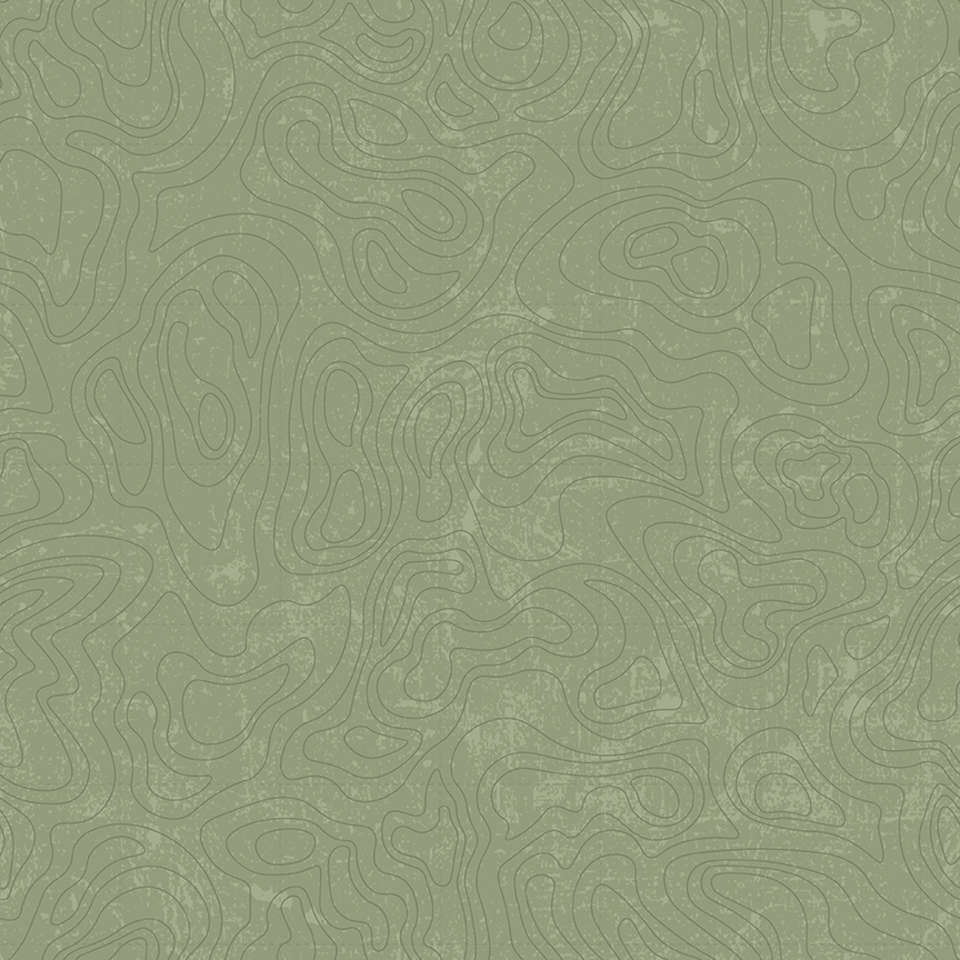 Riley Blake Designs - National Parks 2022 R4 - C13293-GREEN