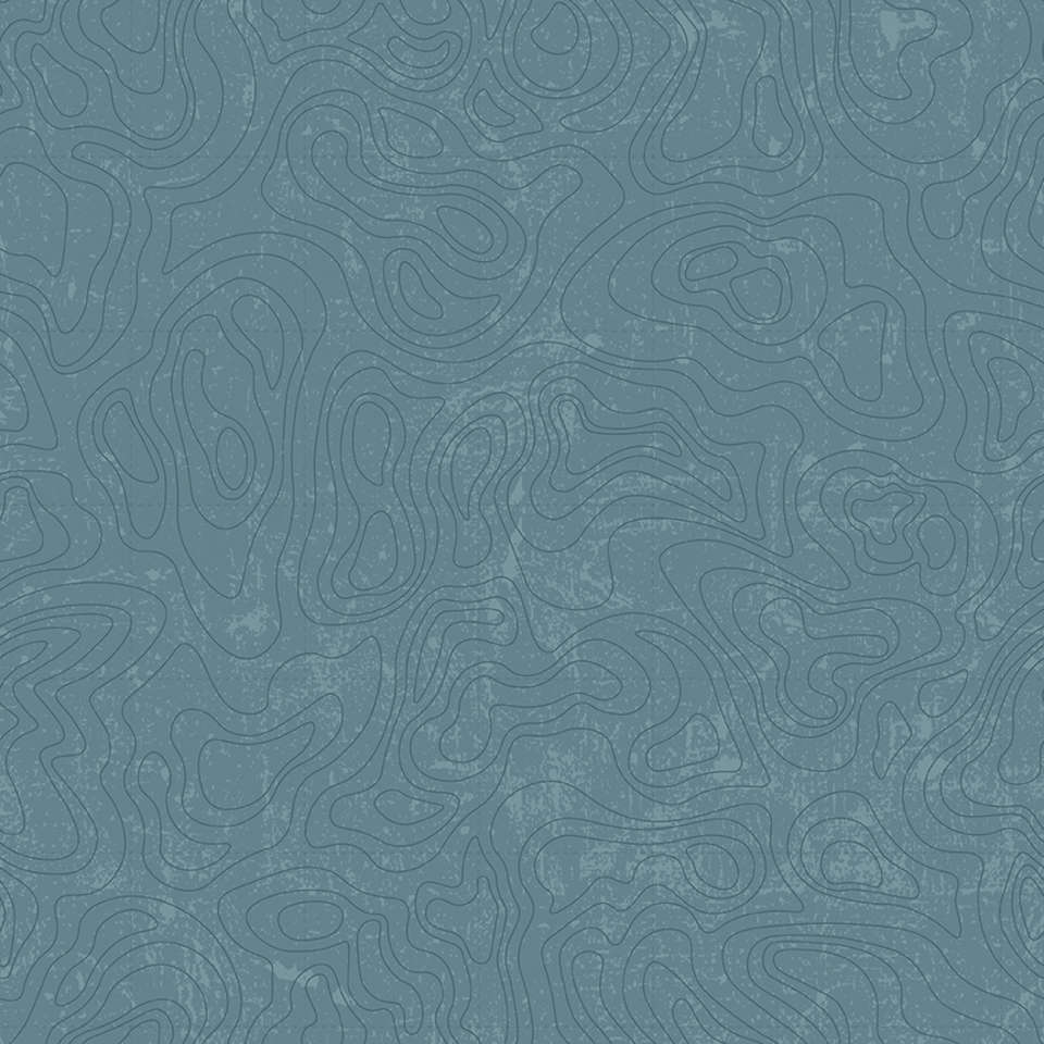 Riley Blake Designs - National Parks 2022 R4 - C13293-BLUE