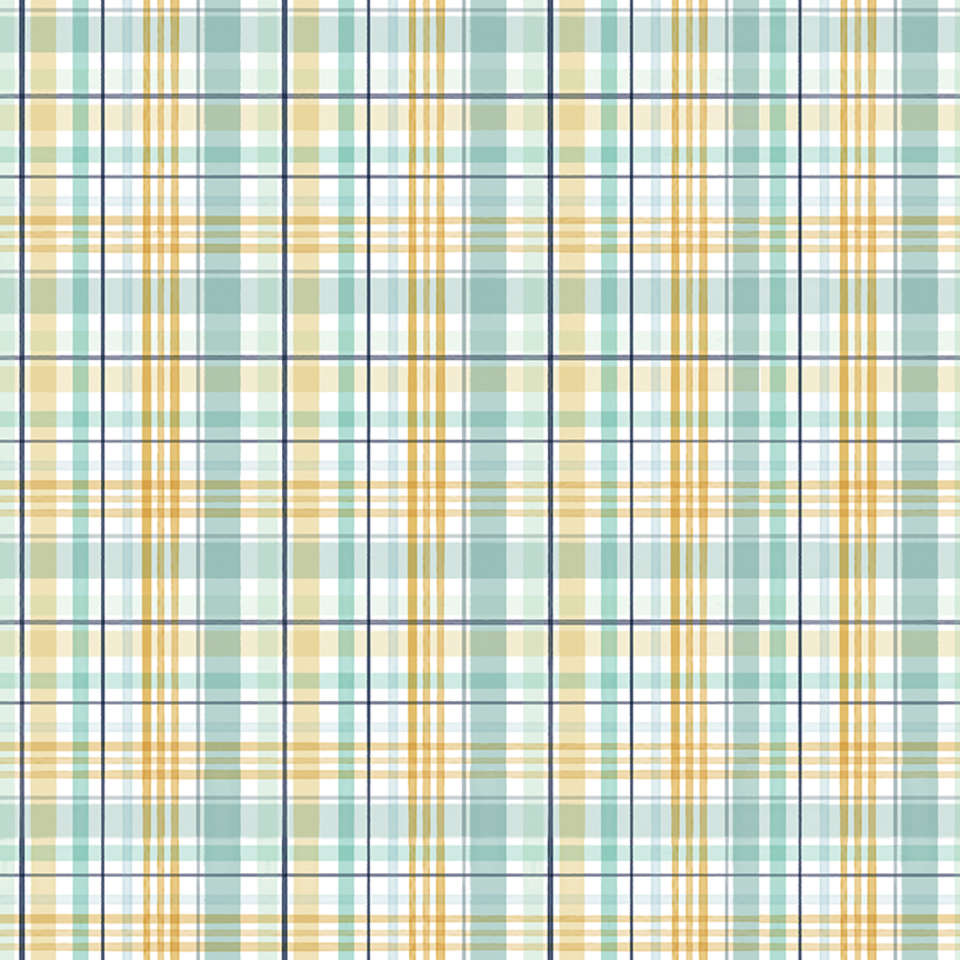 Riley Blake Designs - It's a Boy - C13253-MULTI