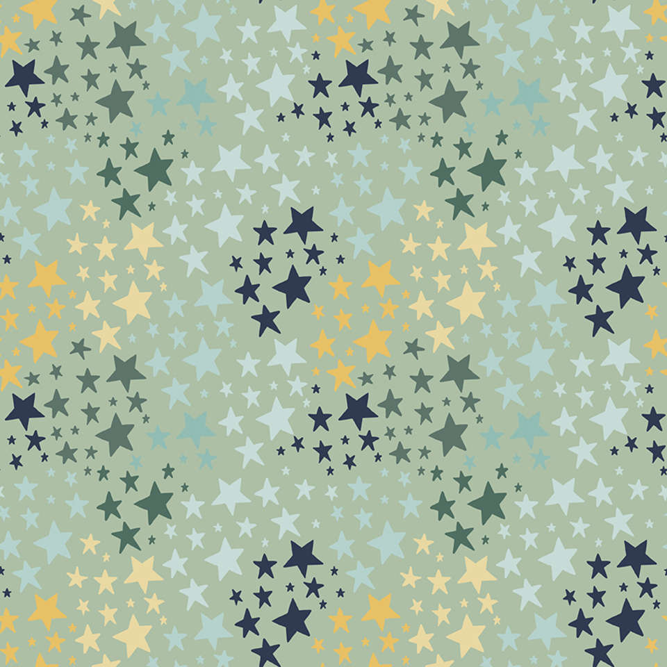 Riley Blake Designs - It's a Boy - C13254-SAGE