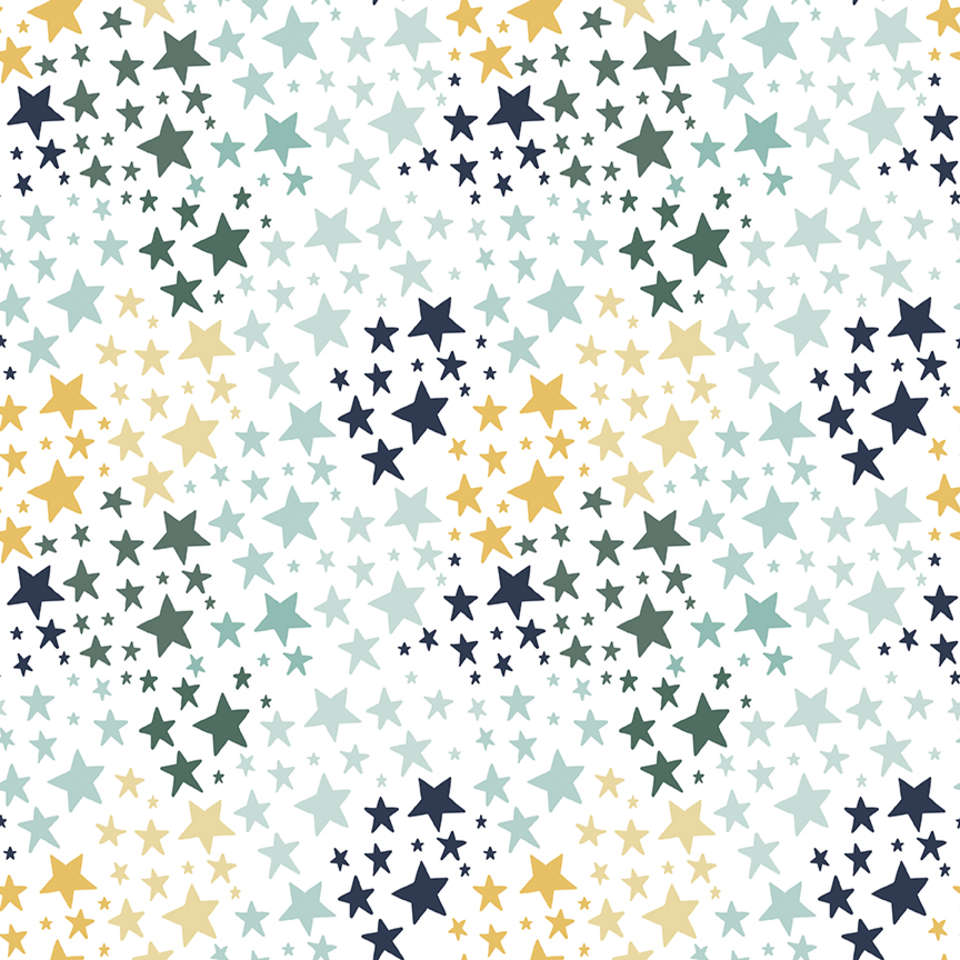 Riley Blake Designs - It's a Boy - C13254-WHITE