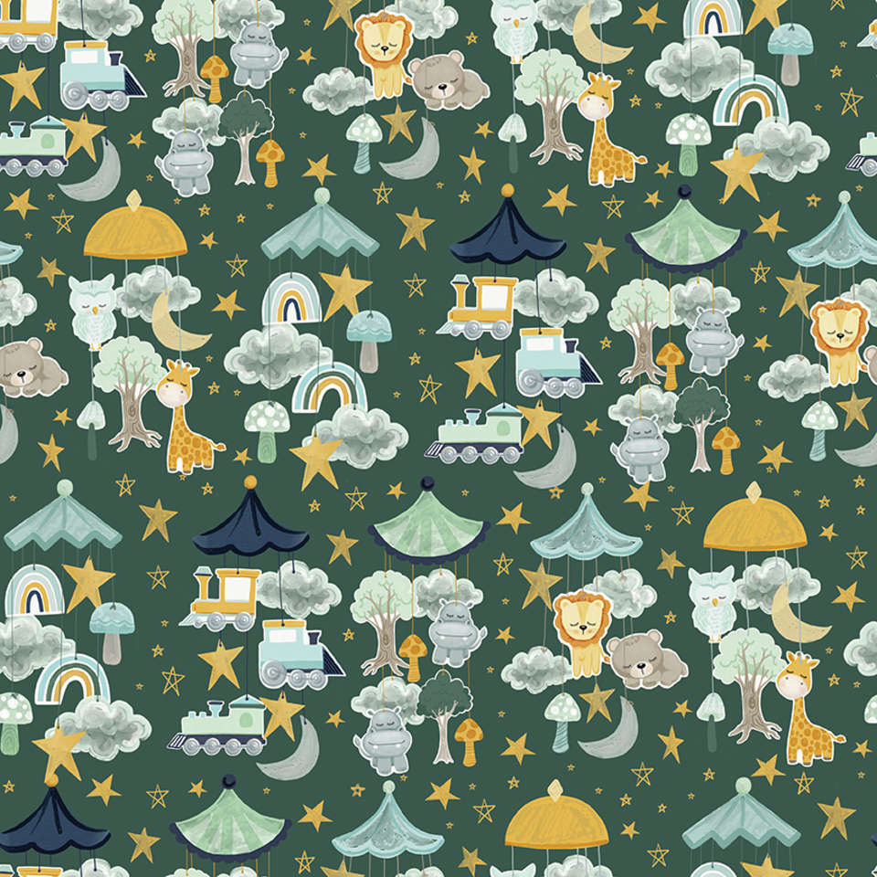 Riley Blake Designs - It's a Boy - C13251-HUNTER