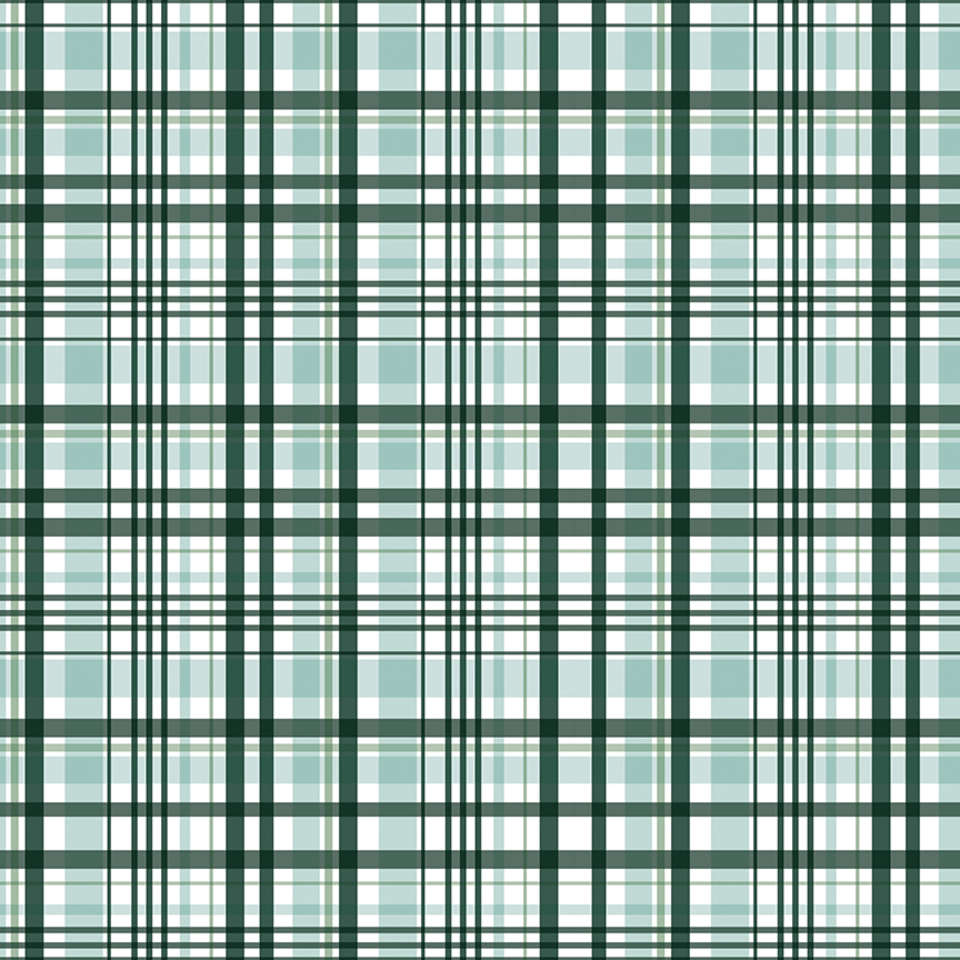 Riley Blake Designs - It's a Boy - C13253-HUNTER