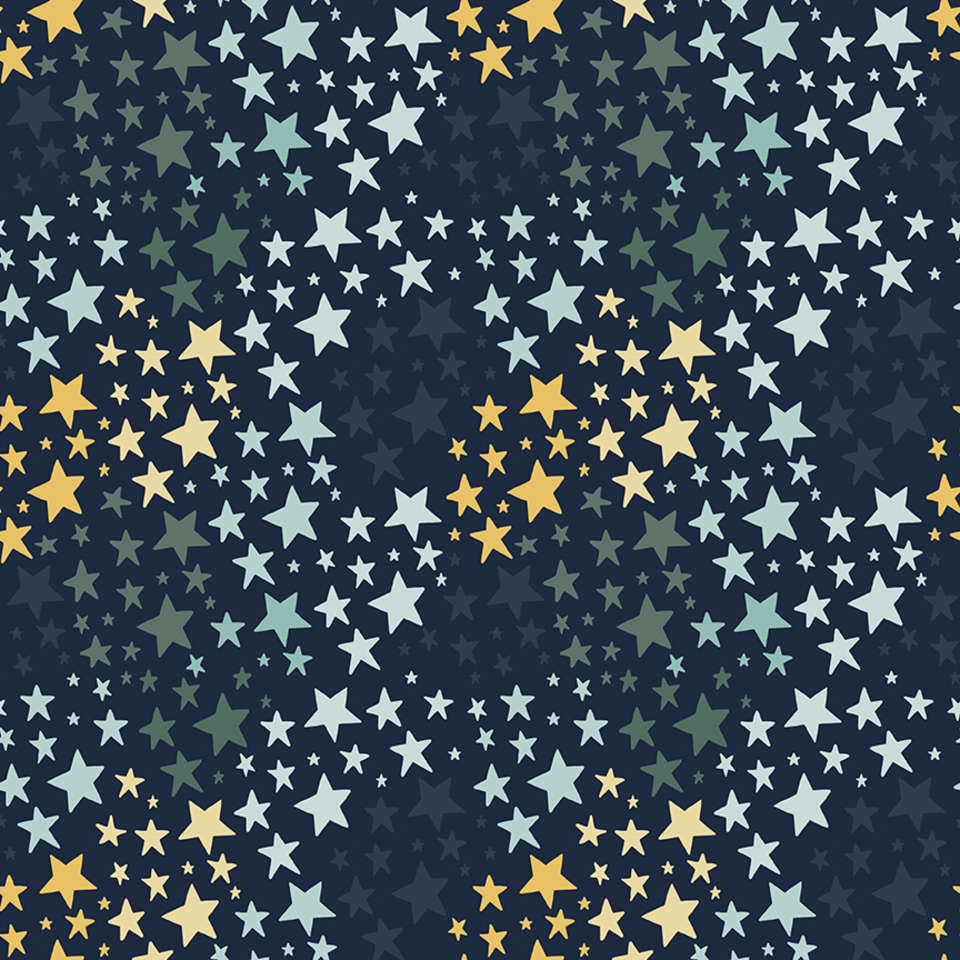 Riley Blake Designs - It's a Boy - C13254-NAVY