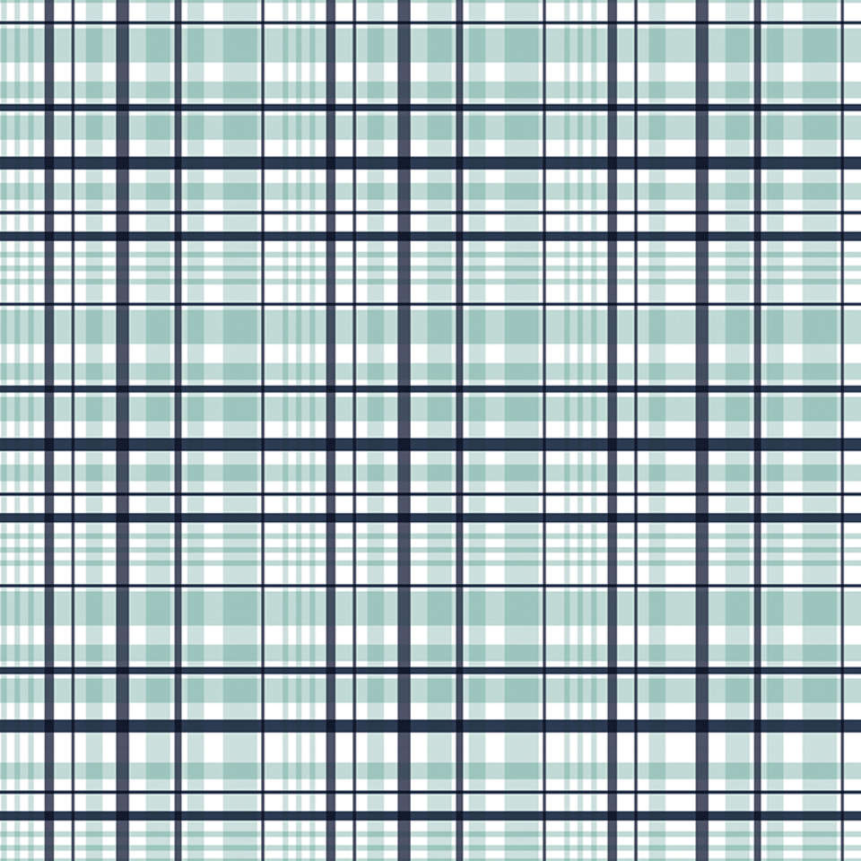 Riley Blake Designs - It's a Boy - C13253-AQUA