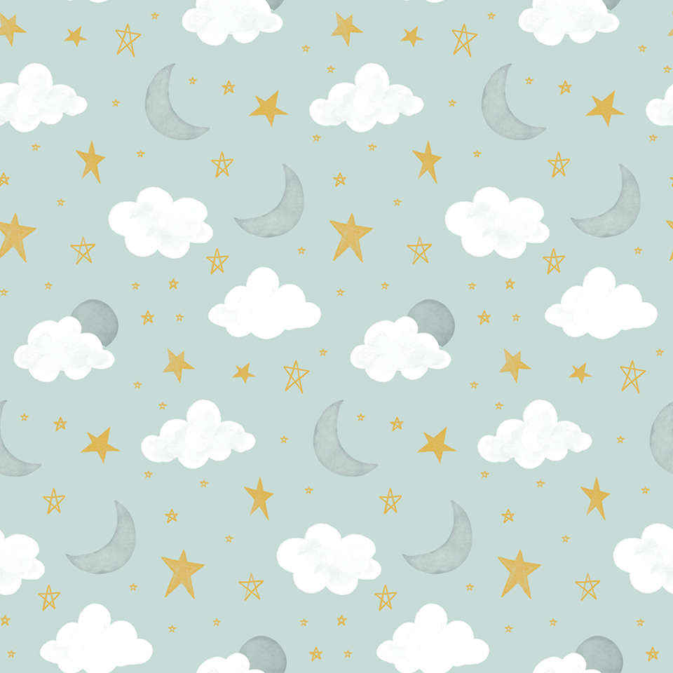 Riley Blake Designs - It's a Boy - C13252-AQUA