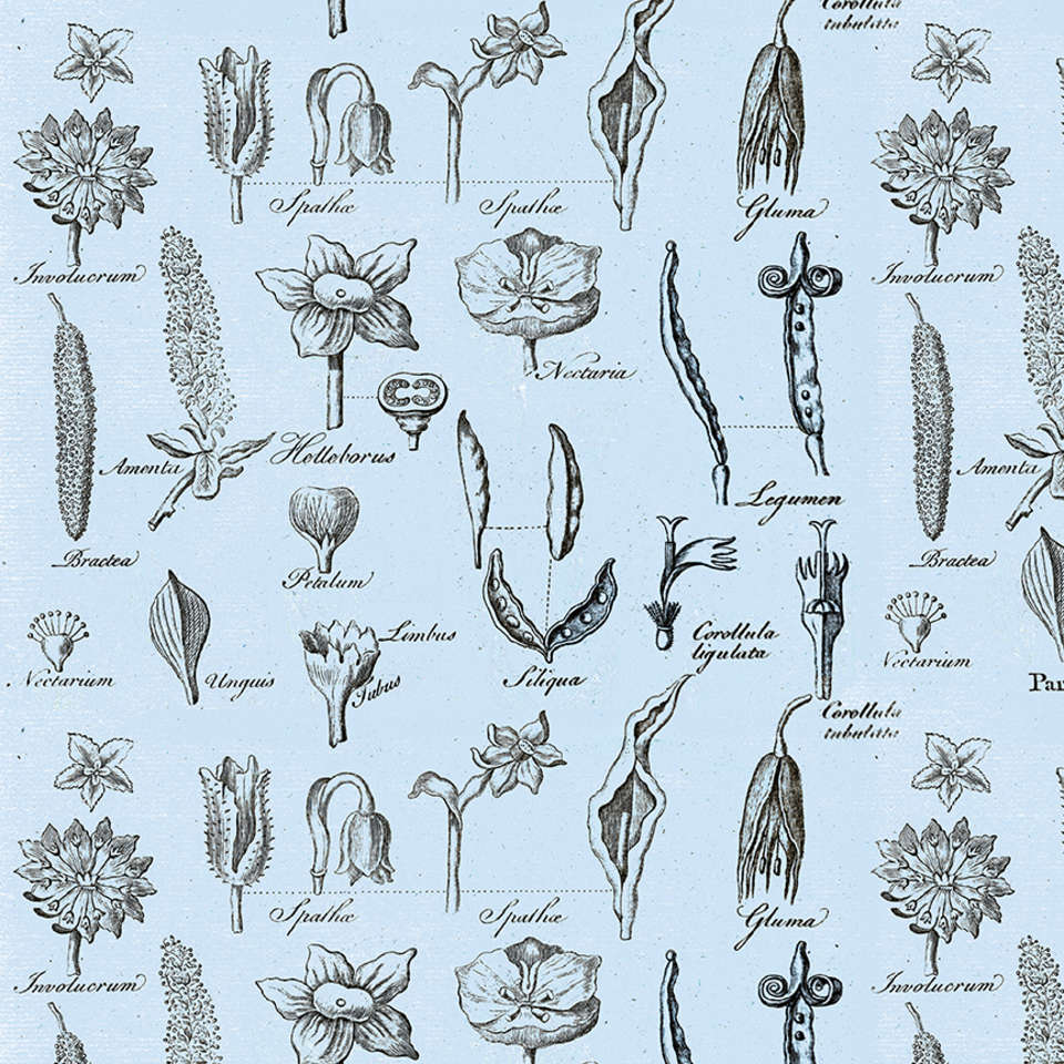 Riley Blake Designs - Art Journal - C13042-BLUE