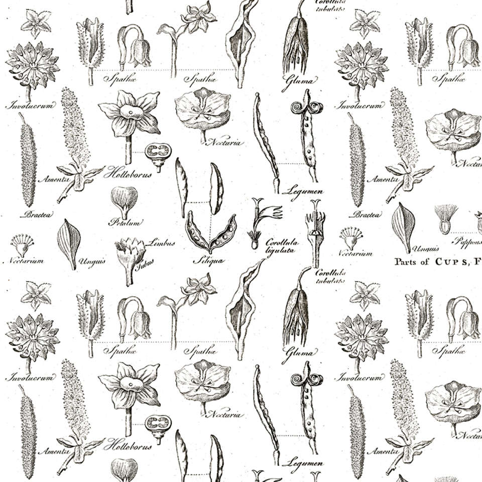 Riley Blake Designs - Art Journal - C13042-WHITE